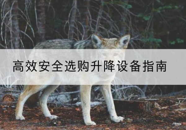 寿阳升降货梯厂家推荐-*安全选购升降设备指南