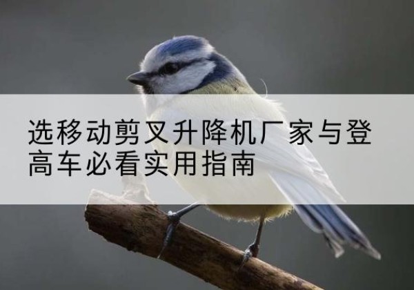 寿阳电动升降机厂家-选移动剪叉升降机厂家与登高车必看实用指南