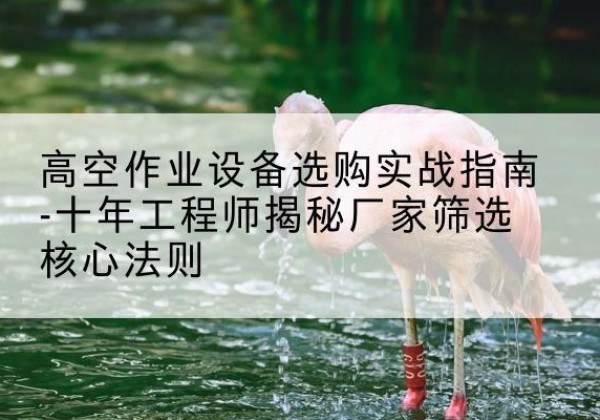 寿阳剪叉式升降机厂家-高空作业设备选购实战指南-十年工程师揭秘厂家筛选核心法则